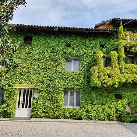 Altebas Bed and Breakfast Nogaredo di Prato Exteriör bild